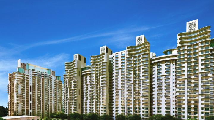 Mirror forex pvt ltd noida
