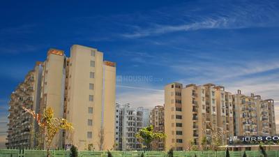 Gallery Cover Pic of Vardhman Jurs country