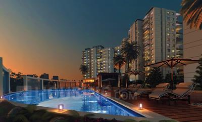 Century Breeze