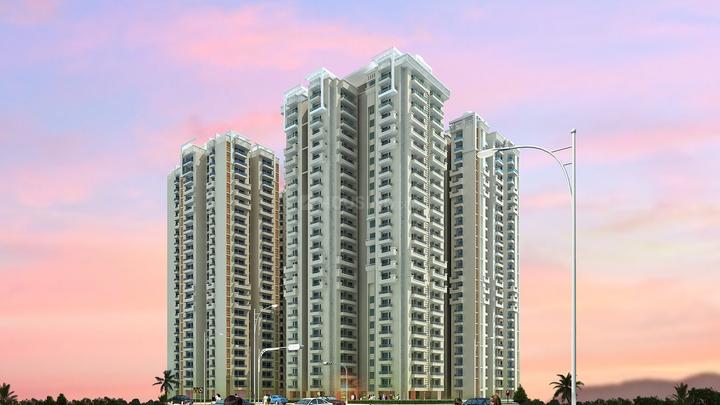 Keltech Rize - Image 5