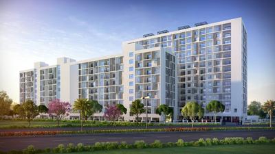 Gallery Cover Pic of Fomra Hues