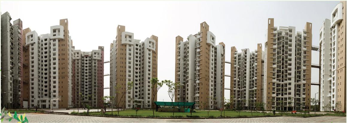 Logix Blossom Greens