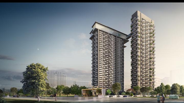 Apex D Rio - Image 4