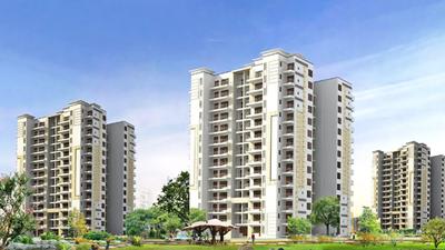 Gallery Cover Image of 2400 Sq.ft 4 BHK Apartment for rent in Tulip Purple, Sector 69 for 35000
