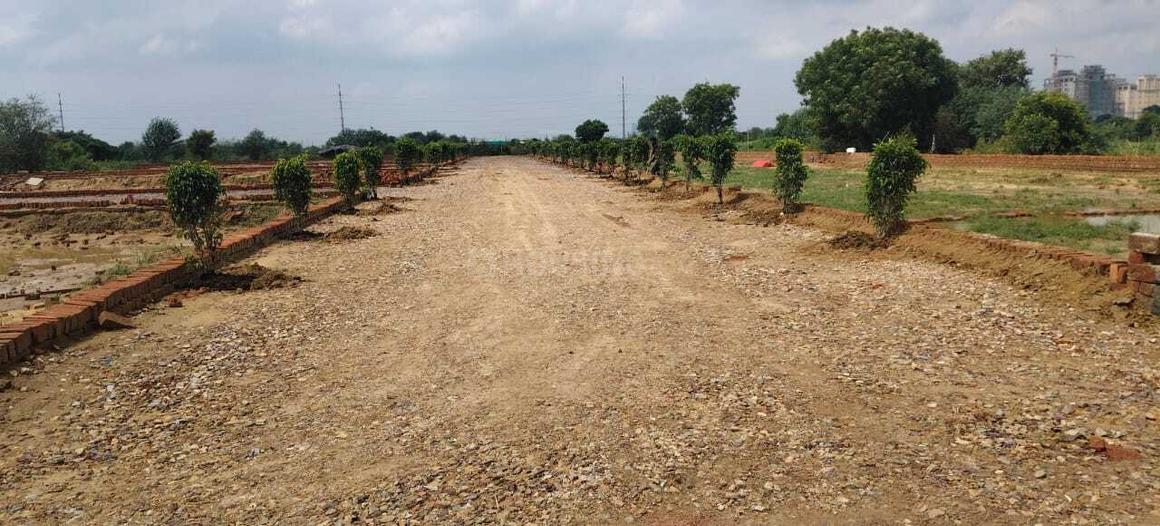 Virasat Royal Paradise