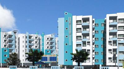 SARC Pacific Blue