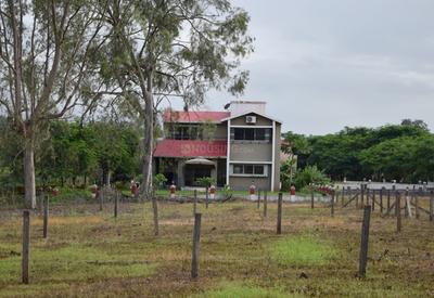 Gallery Cover Pic of Balsam Bhimashankar Hills Phase III
