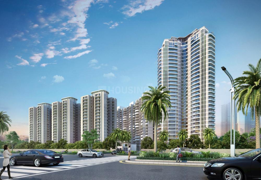 Lotus Greens Arena 7