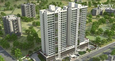 Gallery Cover Pic of Forest Edge
