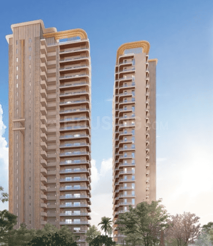 Ivory County - Image 4