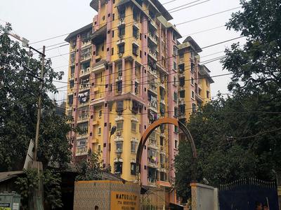 Gallery Cover Pic of Natural Top Apartment