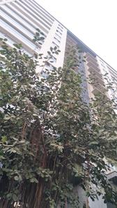 Gallery Cover Pic of Rustomjee Elements Wing SG