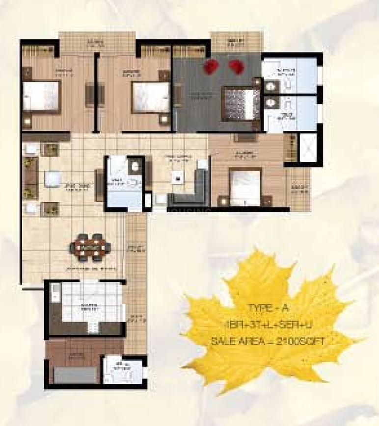 Paras Seasons - Image 39