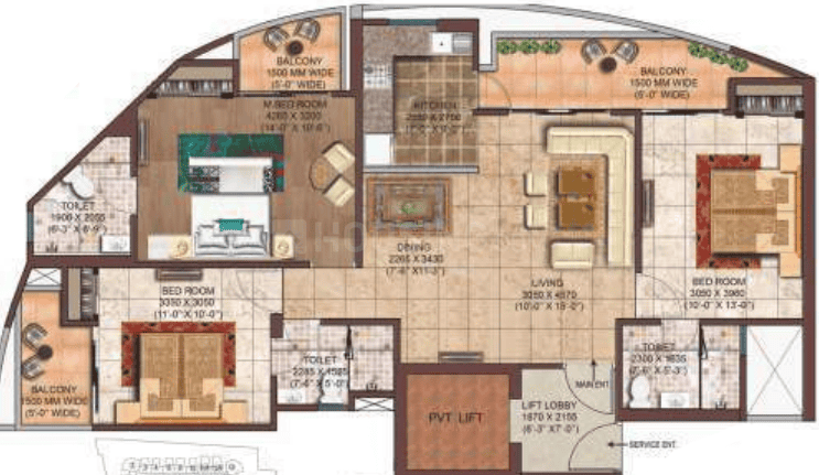 Rise Organic - Image 13