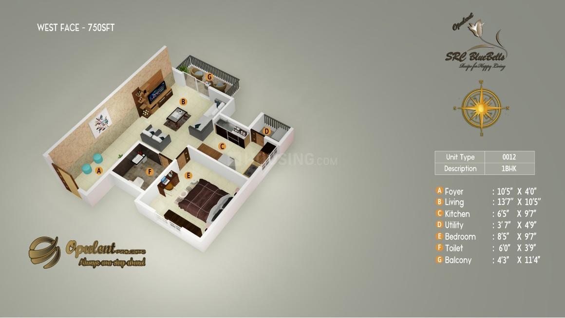 1 BHK Apartment