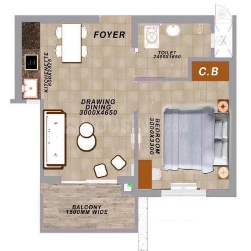 Beetle Orchid - Image 24