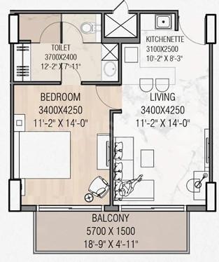 NBCC Dream Valley Highlife - Image 2