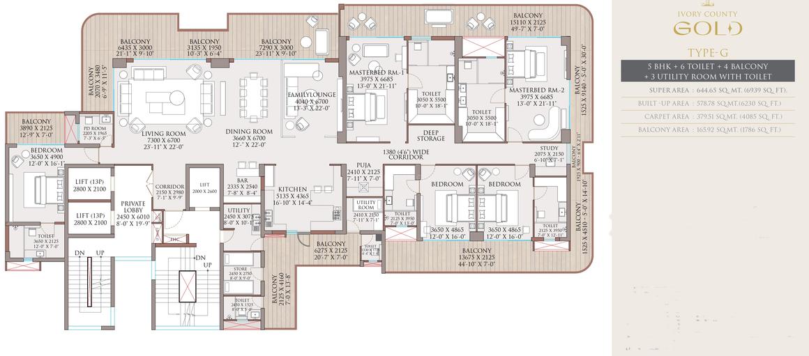 Ivory County Gold - Image 16